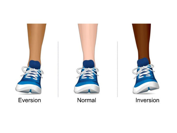 Normal Inversion 16 What is inversion and eversion? | Orthotics Insoles & EVA Supplier ...