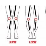 leg type