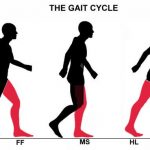 Smoke-out gait