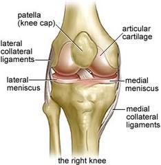 Patellofemoral Pain