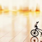Cycling Trip