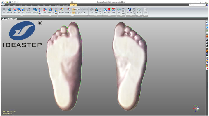 Why 3D Scanning Is Changing Orthotic Manufacturing
